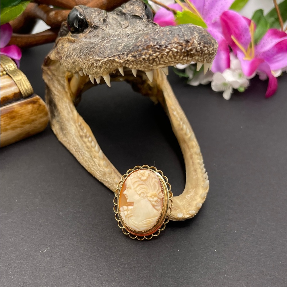 Cameo carved shell brooch vintage